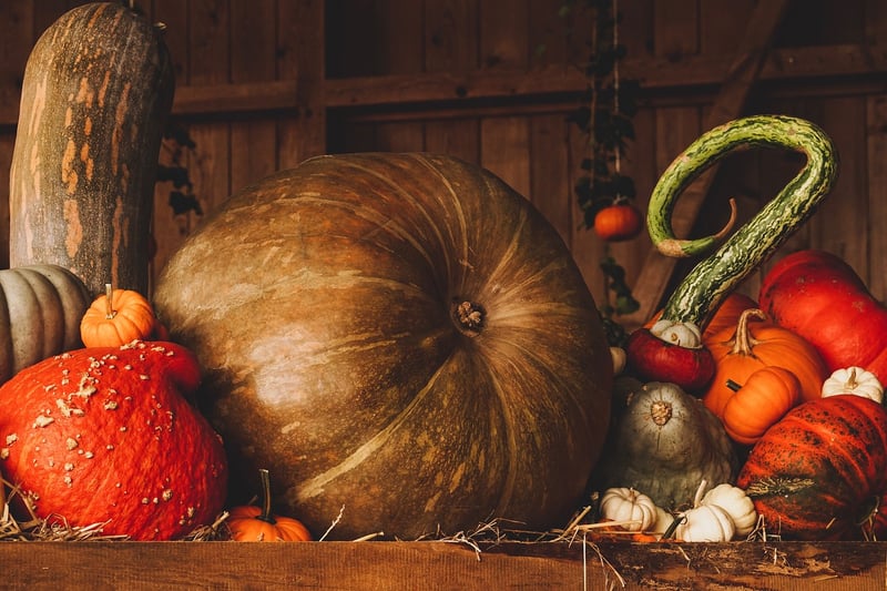 Seasonal Harvest Delights