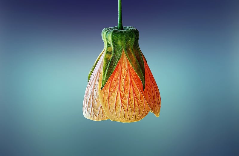 Hanging Florals